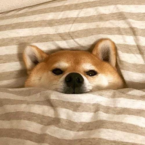 Margie Moran avatar